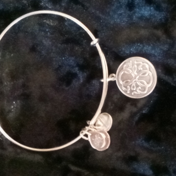 Alex and Ani bangle bracelet path of life bangle charm. - Picture 4 of 5